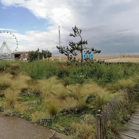 Des Roses - T2, 32m2, Rdc, Vue Sur Jardin, 