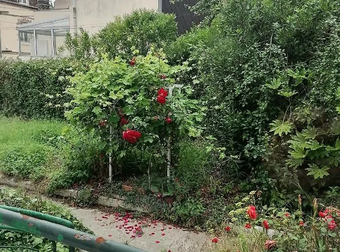 Des Roses - T2, 32m2, Rdc, Vue Sur Jardin, 