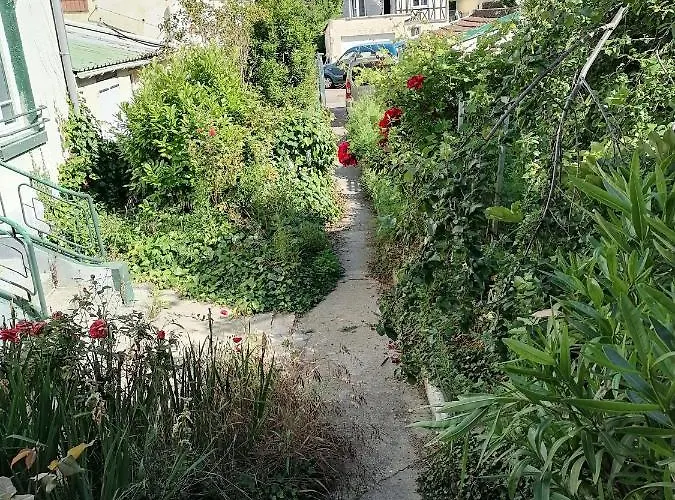 Des Roses - T2, 32m2, Rdc, Vue Sur Jardin, 