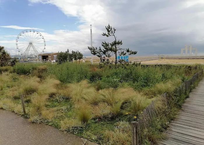 Des Roses - T2, 32m2, Rdc, Vue Sur Jardin, 