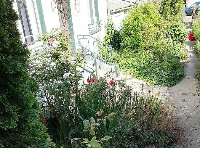 Des Roses - T2, 32m2, Rdc, Vue Sur Jardin, 